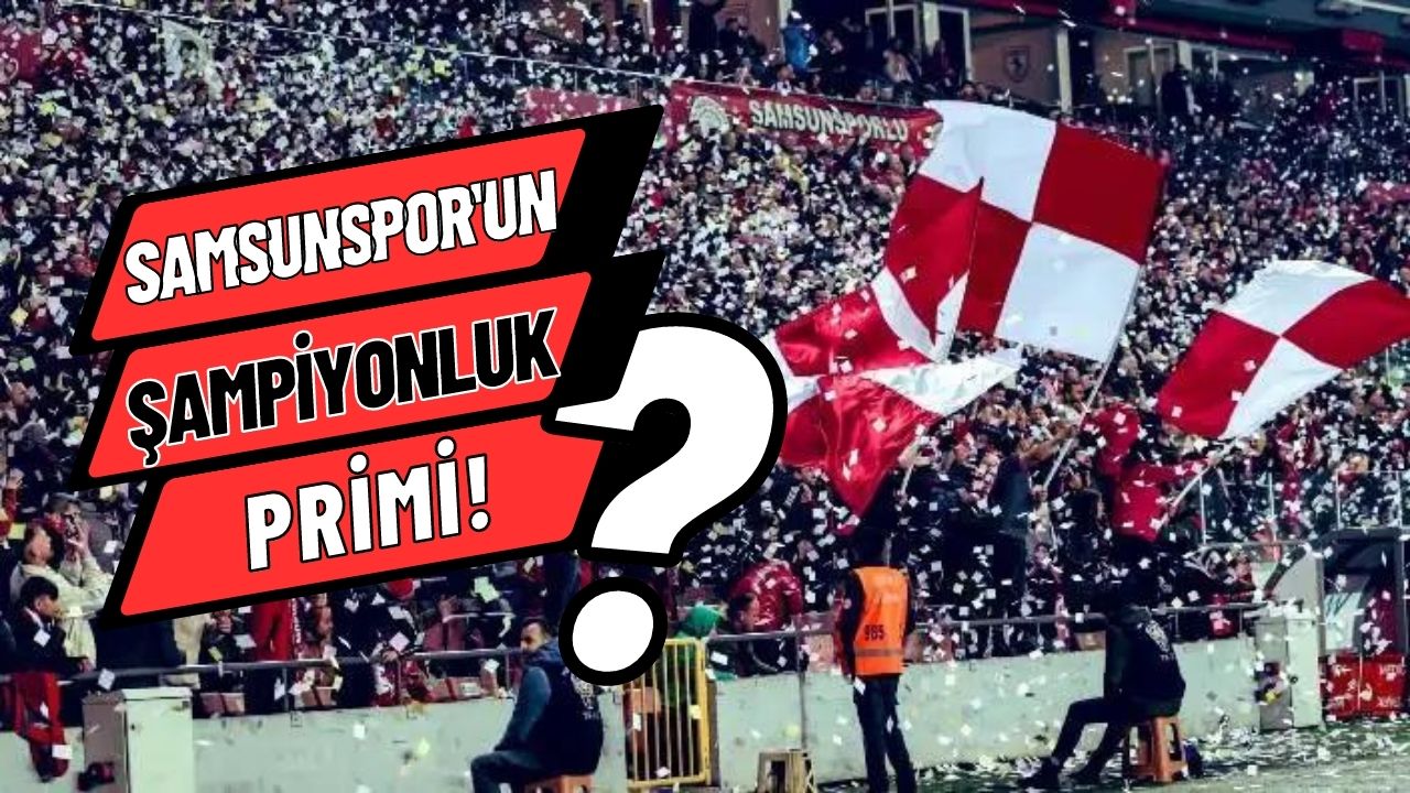 Süper Lig'e yükselen Samsunspor'un alacağı şampiyonluk ücreti belli oldu