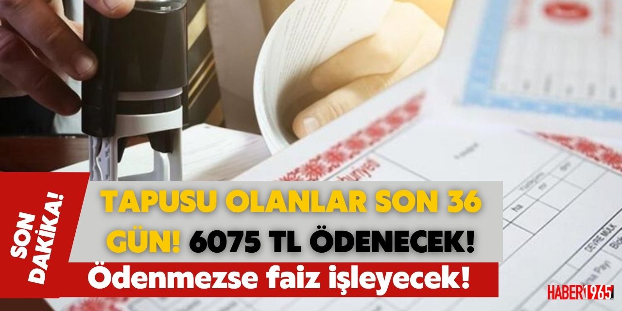 Tapusu olanlar dikkat! 6 bin 75 TL ödeme yapılması için 36 gün kaldı yapılmazsa faiz işleyecek