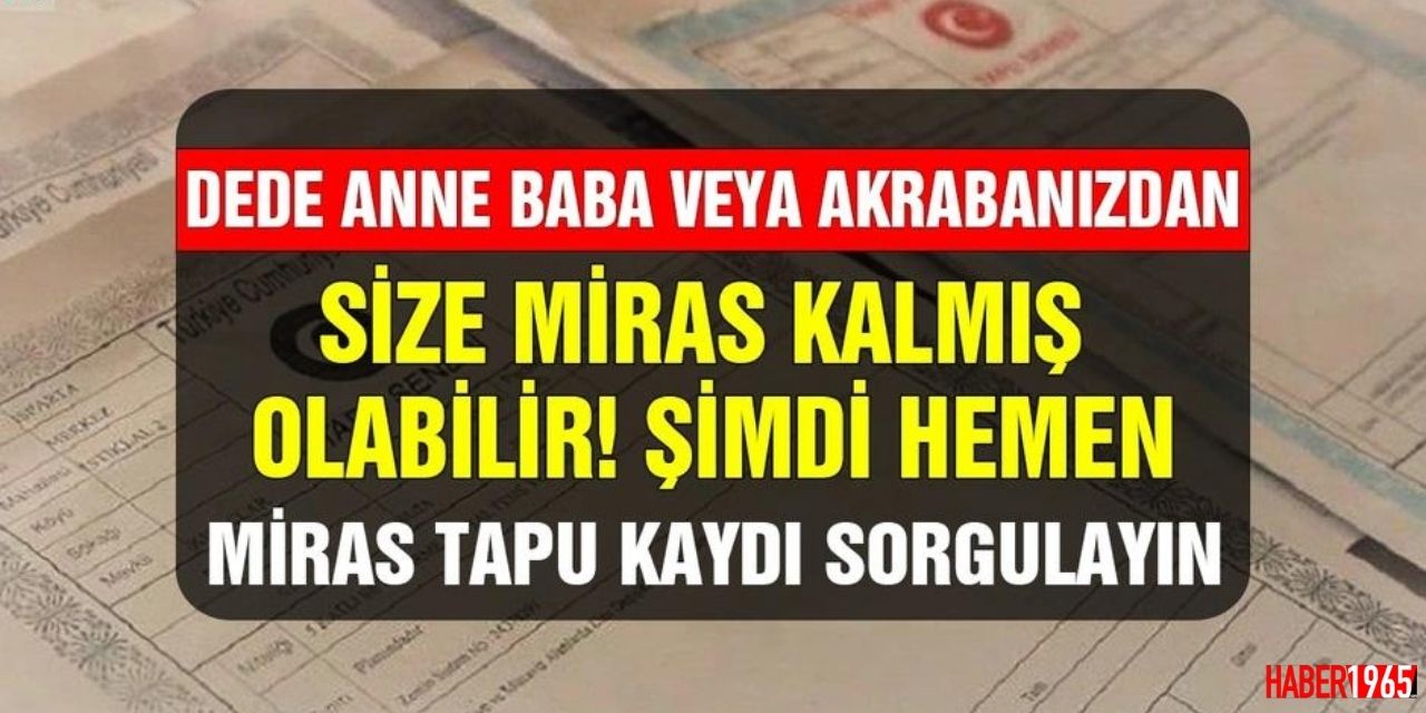 Anne baba dede tanımadığınız akrabalar! Ekran açıldı tonla miras kalmış olabilir hemen sorgulayın