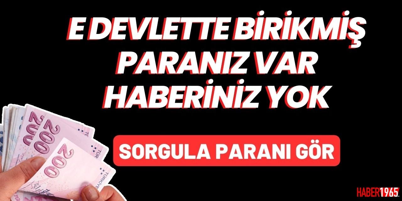 Milyonlar o paraları almayı unuttu e-devlet son dakika açıkladı! O işlemi yaparak hemen paranızı çekebileceksiniz