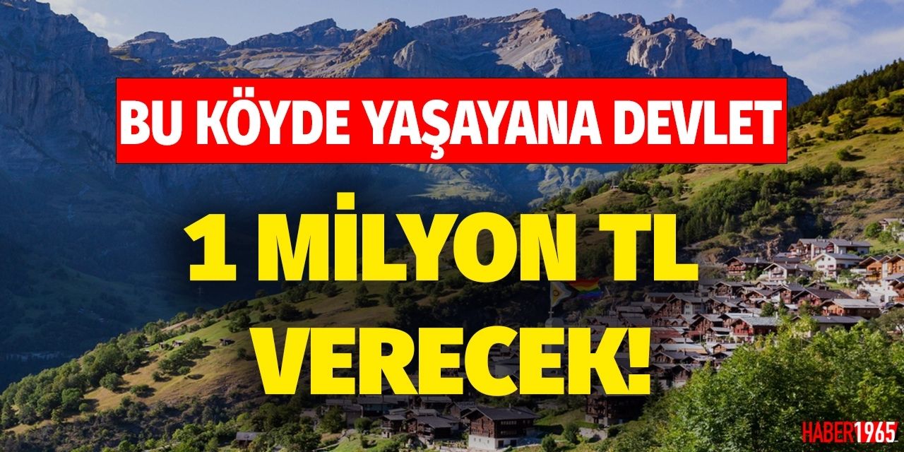 Avrupa ülkesi açıkladı! Vize, konaklama, yeme içme dahil: yaşayana 1 milyon TL verilecek