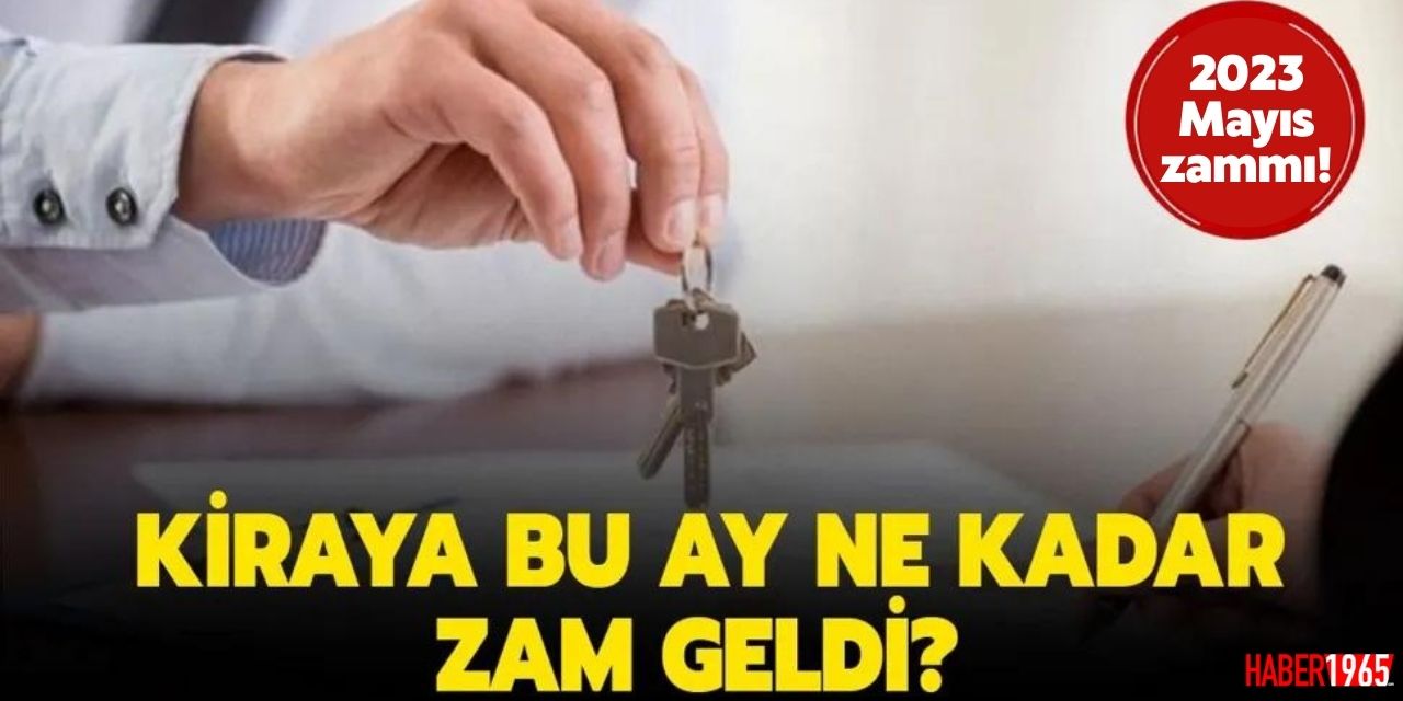 TÜİK Mayıs ayı TEFE TÜFE kiralara ne kadar zam geldi? Konut işyeri ofis depo kira zammı hesaplama tablosu