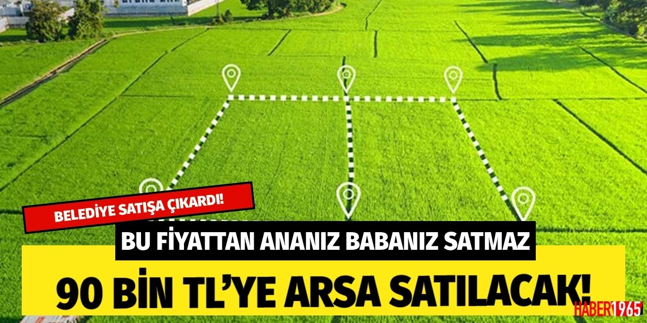 Ev arsa arayanlar dikkat fırsat ayağınıza geldi! Belediye 90 bin liraya ucuza arsa satıyor