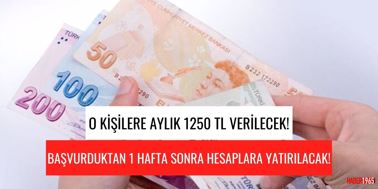 Bu kişilere aylık 1250 TL verilecek! Başvuranlar bir hafta sonra paralarını almaya başlıyor