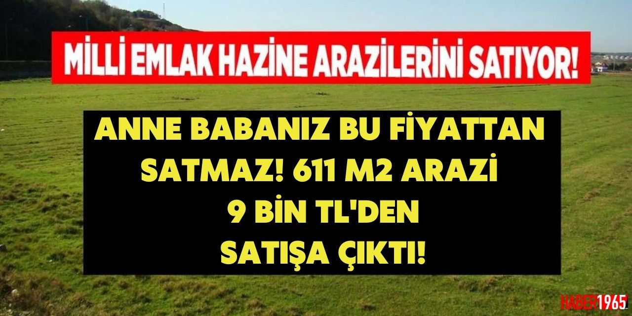 Milli Emlak ilanı geldi! Tarihi fırsat açıklandı anne babanız bu fiyattan satmaz: 9 bin TL'den arazi satışta