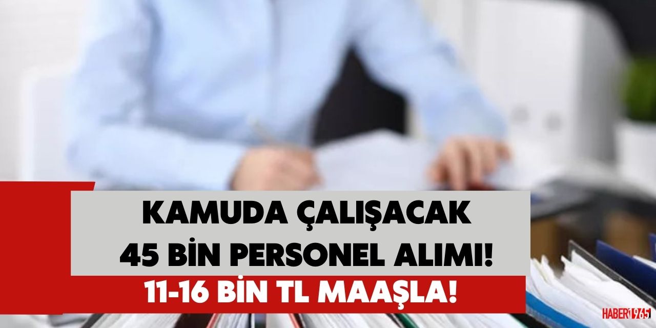 Kamuda çalıştırılmak üzere 45 bin kişi alınacak! 11-16 Bin TL maaş veriliyor başvurular başladı