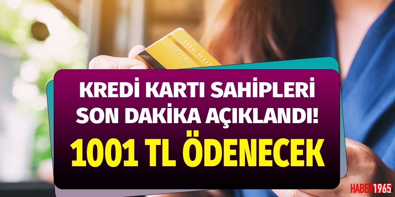 En az 2 ve üstü kredi kartı olanlar dikkat: bu ekrandan başvuru yaparak 1001 TL iade alınabilecek