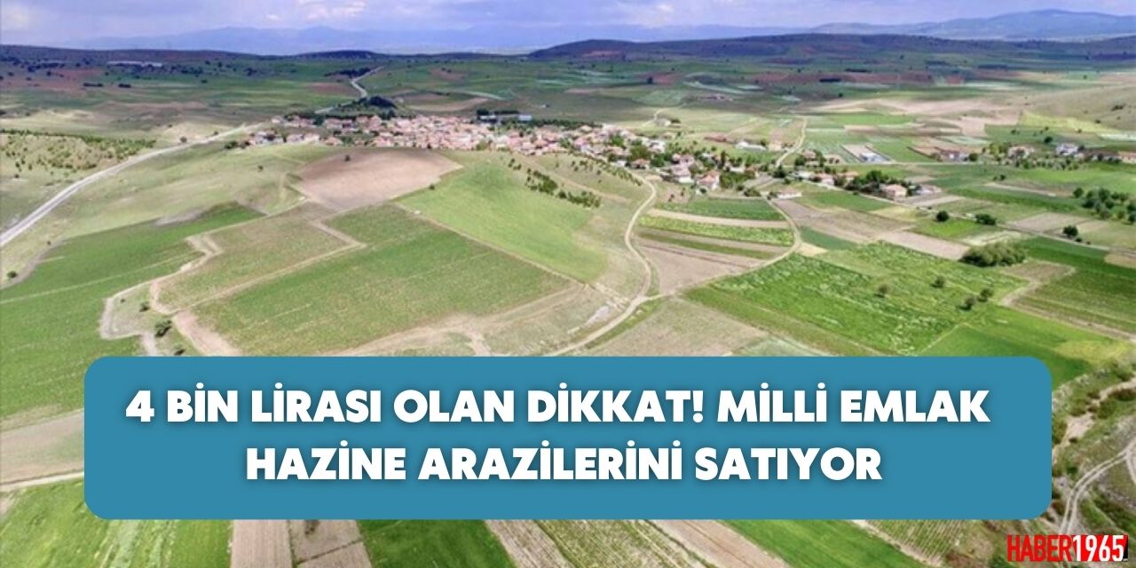 4 bin lirası olanlar dikkat! Milli Emlak hazine arazilerini satışa çıkardı yetişen alabilecek