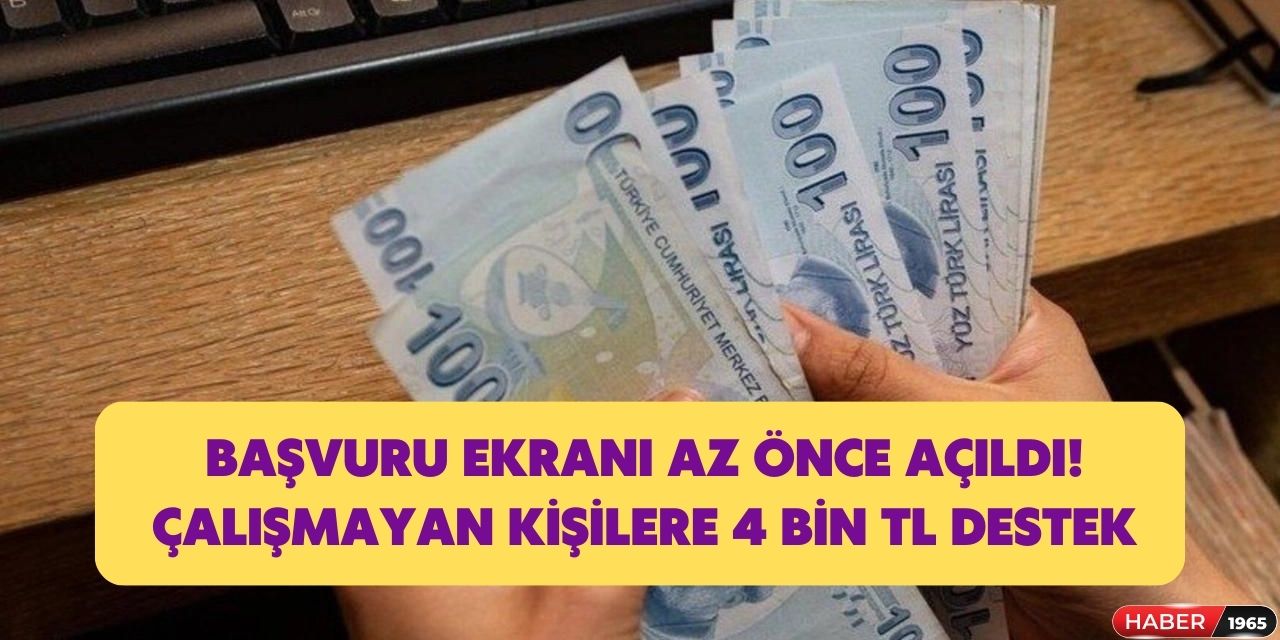 Başvuru ekranı az önce açıldı! Çalışmayan o kişilere devlet 4 bin TL destek verecek