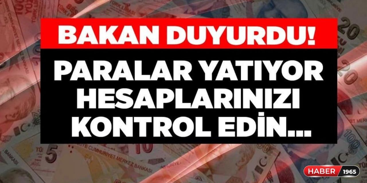 En az 1 2 3 çocuğu olanlar dikkat! Hesapları hemen kontrol edin 3.038 TL yatırıldı