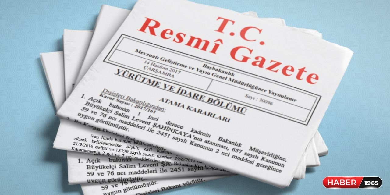 Resmi Gazete'de yayımlandı! 2 yeni fakülte kuruldu