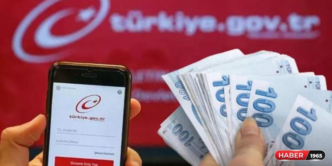 E-devlet üzerinden açıklamalar geldi! Kimlik ile başvuru yapmak yeterli 3 yıl ödemesiz devlet desteği