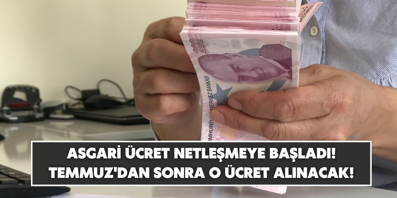 Asgari ücretlinin sonunda yüzü gülecek! Milyonlarca kişi Temmuzdan sonra o ücretle çalışmaya başlayacak