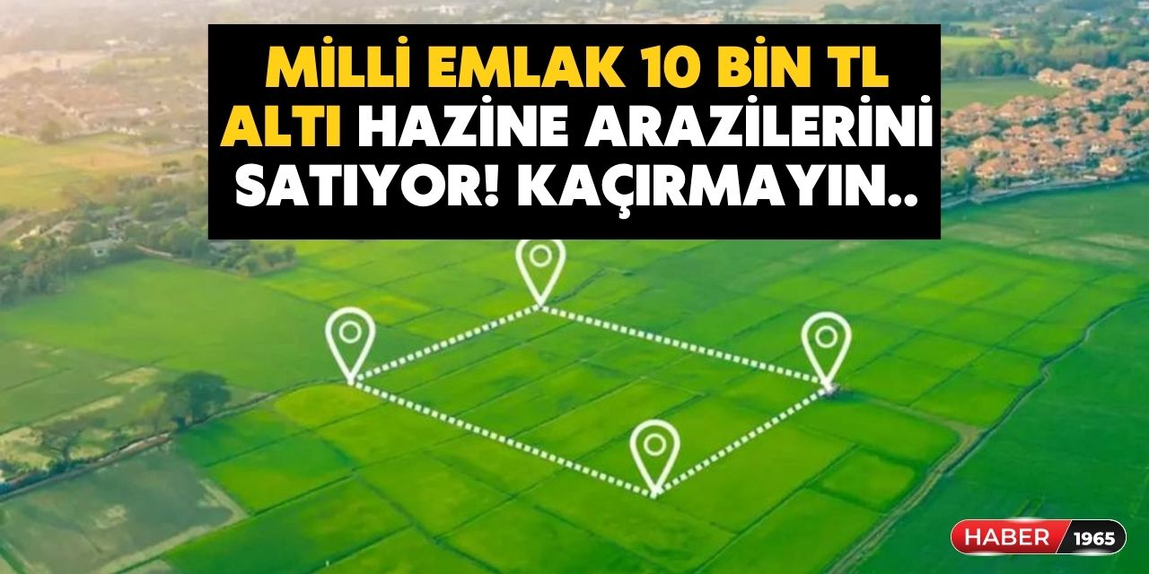 Kıyıda köşede 1840 TL'si olanlar dikkat! Milli Emlak o şehirde araziyi satışa çıkardı işte 10 bin TL altı arsalar