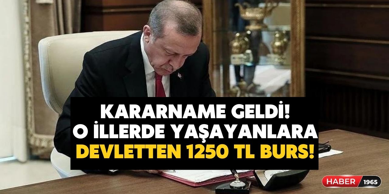 Cumhurbaşkanı Kararnamesi geldi! O iller yaşayan öğrencilere piyango her ay 1250 TL burs verilecek