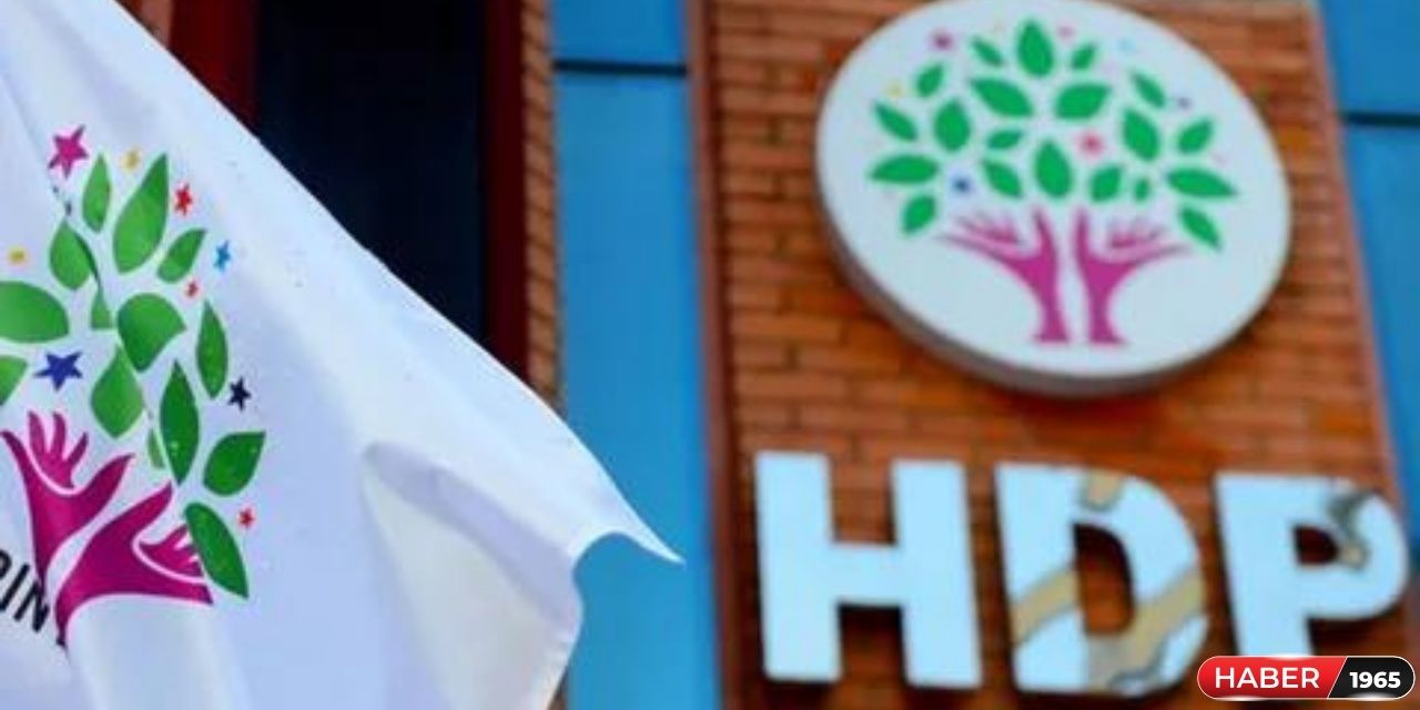 HDP ve Yeşil Sol Parti'den  ortak yazılı açıklama! Kimi destekledikleri yarın belli olacak