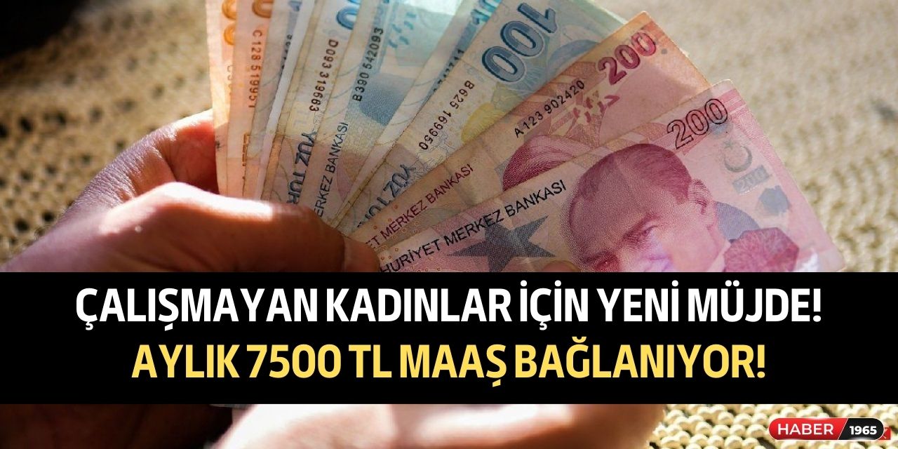 Çalışmayan kadınlar için emeklilik müjdesi verildi! Parayı yatıranlar 7500 TL aylık ödeme alabiliyor