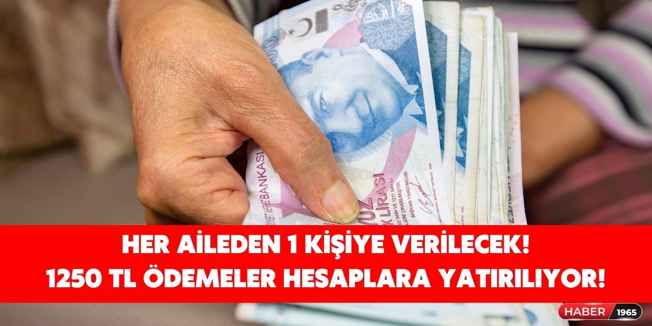 Bakanlık Haziran için ödeme talimatı verdi! Aileden sadece bir kişi yararlanabilecek 1250 TL ödemeler hesaplara yatırılıyor