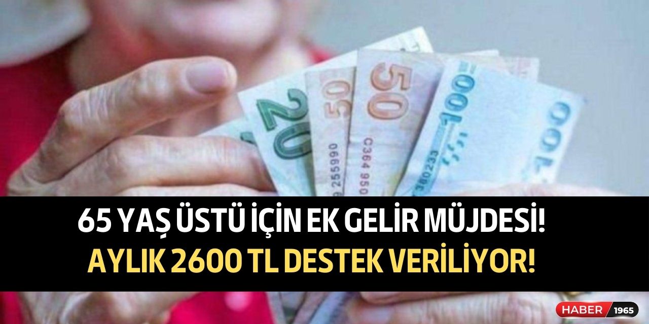 65 yaş üstü vatandaşlara gelir desteği! Aylık 2600 TL nakit ödeme sağlanacak hemen bilgilerinizi girin