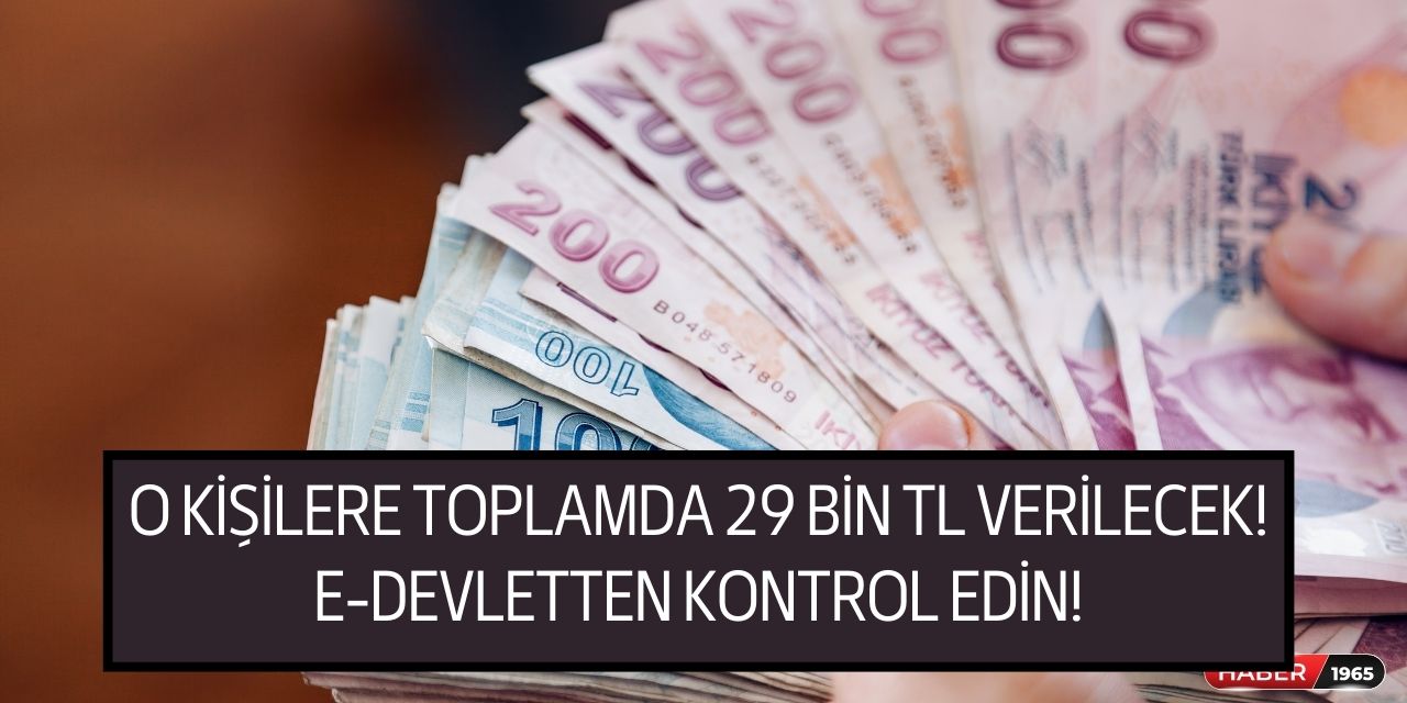 SGK'dan kadınlar için yeni müjde verildi! Sigorta girişi olanlara toplamda 29 bin TL ödeme yapılıyor