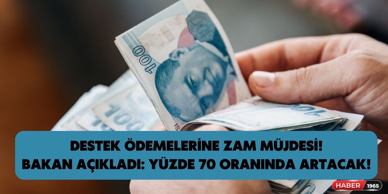 Aile Bakanlığı'ndan yeni müjde verildi! Destek ödemelerine yüzde 70 zam geliyor hangi tarihte uygulanacak