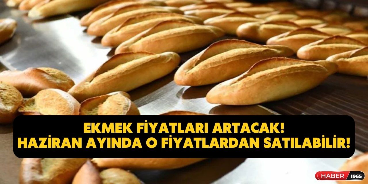 Ekmek için yeni zammı geliyor? 200 gram ekmek Haziran ayında o fiyatlar üzerinden satılabilir