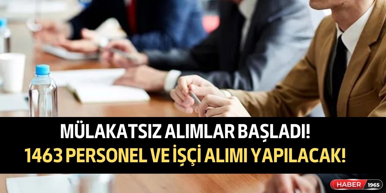 Kamuda mülakatsız personel alımı başladı! 1463 personel alımı için başvurular açılmış durumda