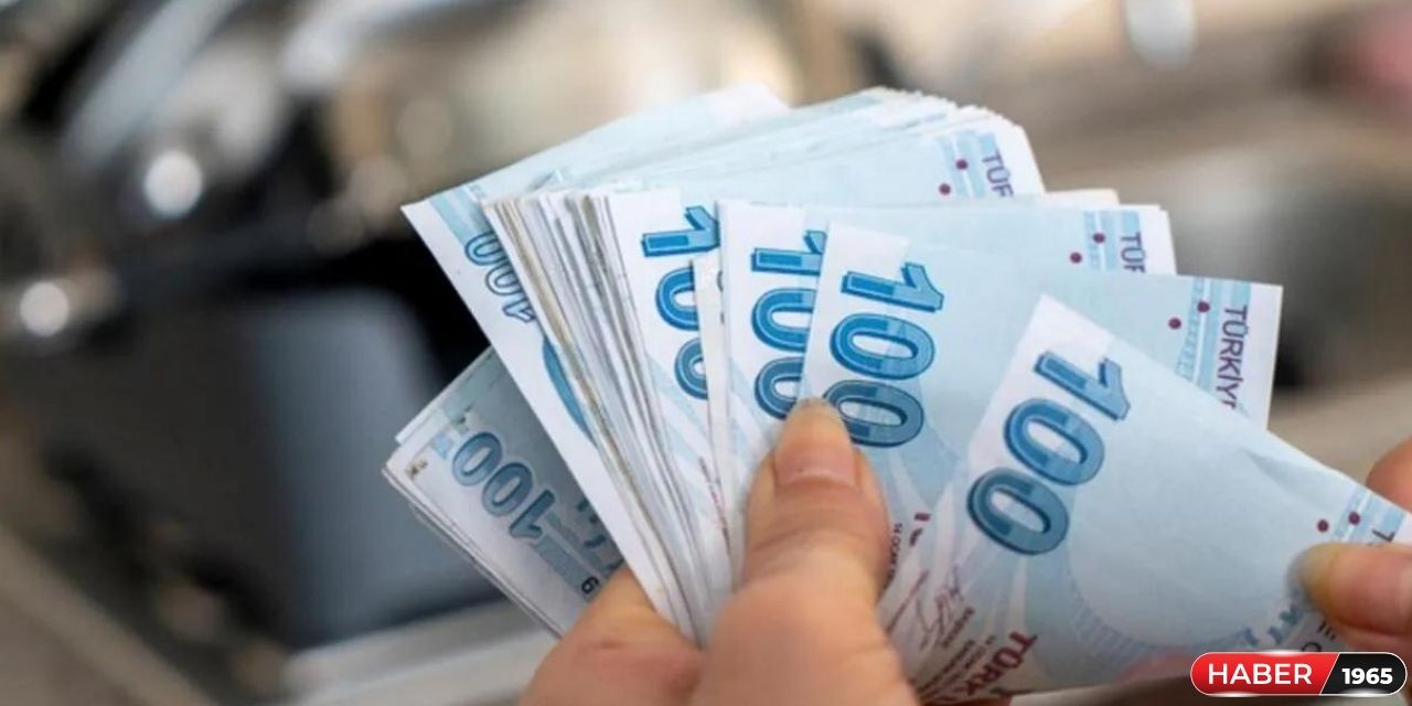 Devlet'ten vatandaşlara müjde geldi! Başvurana  4 bin 336 lira para verecek