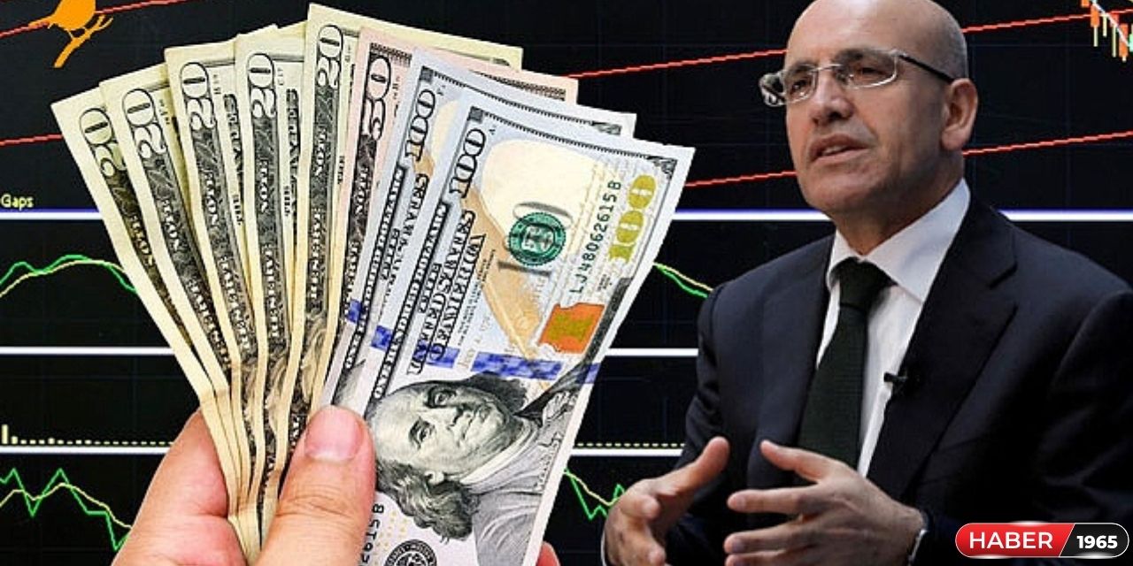 Ekonomi Bakanı Mehmet Şimşek'in ilk iş gününde dolar rekor kırdı!