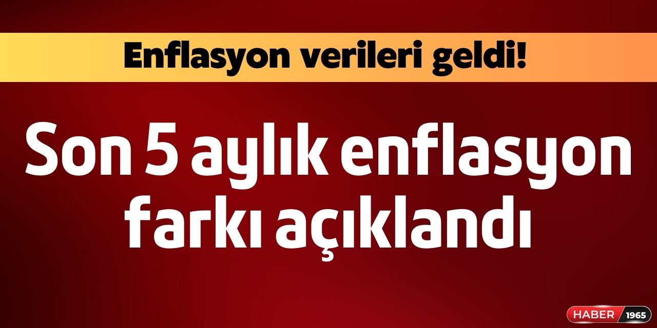 5 aylık enflasyon farkı ne kadar oldu? (2023 memur ve emekli maaşı zam oranı)