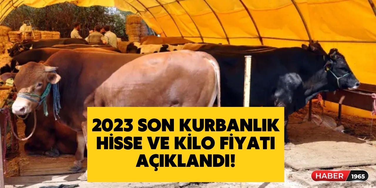 Kurban kesecekler dikkat! Büyükbaş küçükbaş son hisse fiyatları yayınlandı