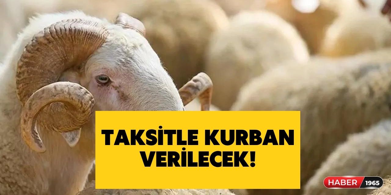 Kurban Bayramı'nda kurbanlık alamıyorum diye canınızı sıkmayın! 12 ay taksitle uygun fiyatlı kurbanlık kampanyası başladı!