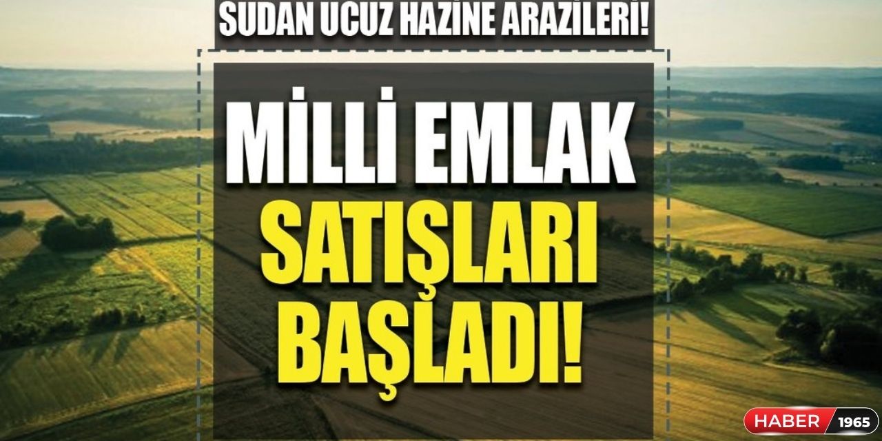 Hesabında 1500 TL'si olanlar dikkat! Milli Emlak o şehirde 1 aylık sigara parasına arsa satıyor