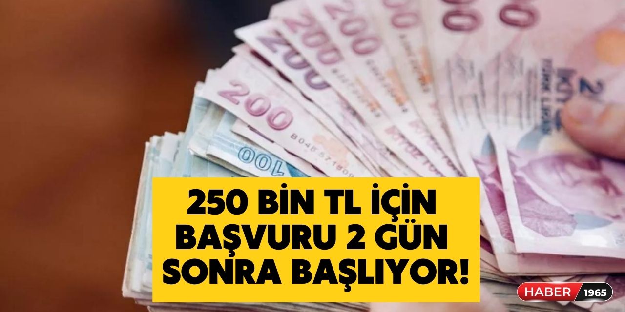 250 bin TL hesaplara yatacak! Başvurular 2 gün sonra başlıyor bu fırsat kaçmaz!