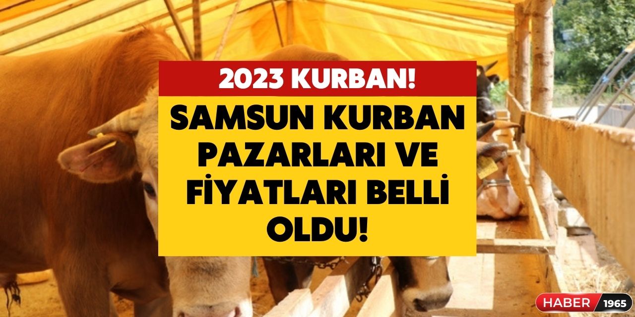 Samsun'da kurban pazarı ve kurbanlık fiyatları belli oldu