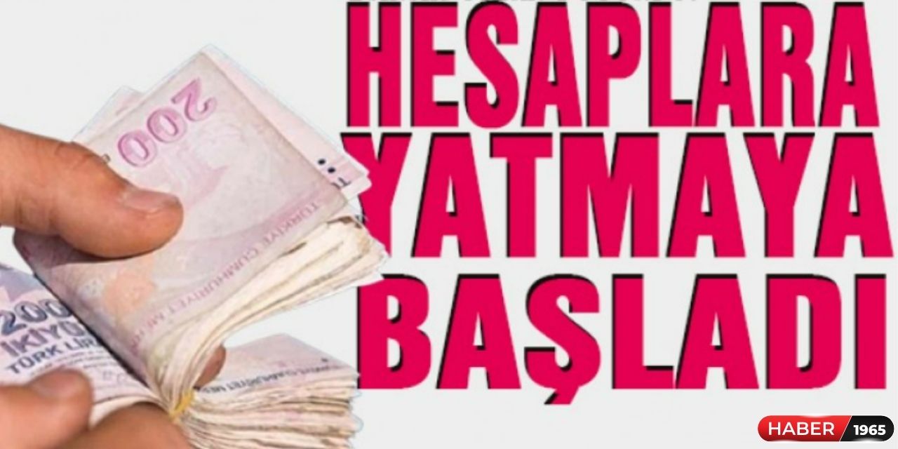 Bakanlık az önce hesaplara yatırılsın talimatı verdi! Hemen kontrol edin kimlik no son hanesine göre yatacak