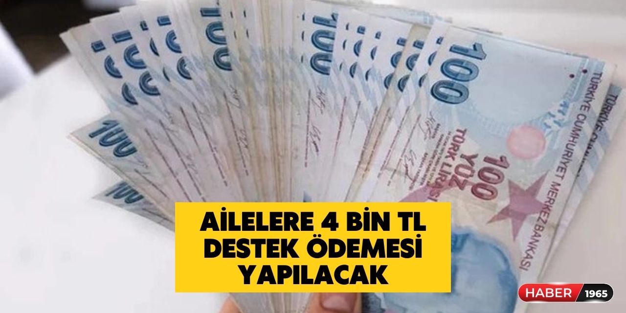 4 milyon kişi kapsam alanına alındı! Bakanlık her aileye 4 bin TL ödeyecek