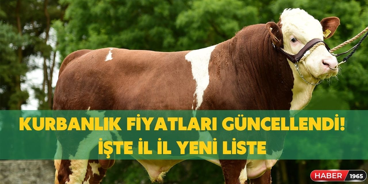 İstanbul, İzmir ve Ankara başta olmak üzere tüm illerde ki kurbanlık fiyatları güncellendi! İşte güncel liste