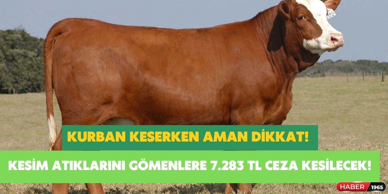 Kurban atıklarını gömenler dikkat! Cezası 7 bin 283 lira