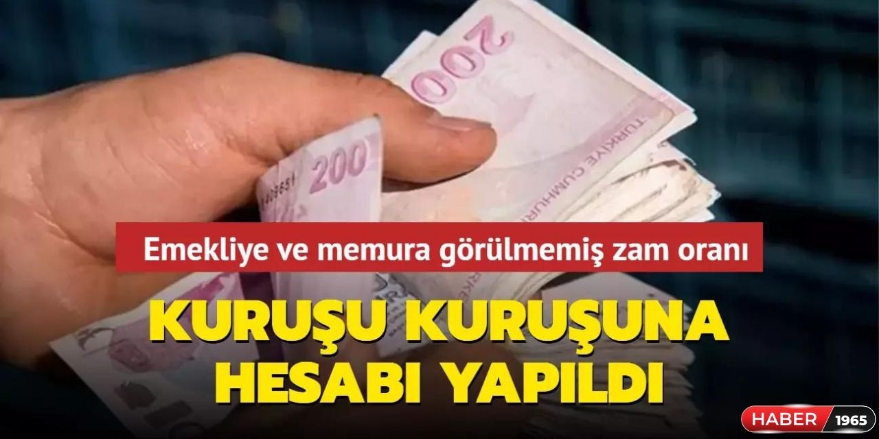 Emekli ve memur maaş zammı da açıklandı! Buna göre ise en düşük emekli aylığı 9 bin 886 TL memur maaşı 21.780 TL