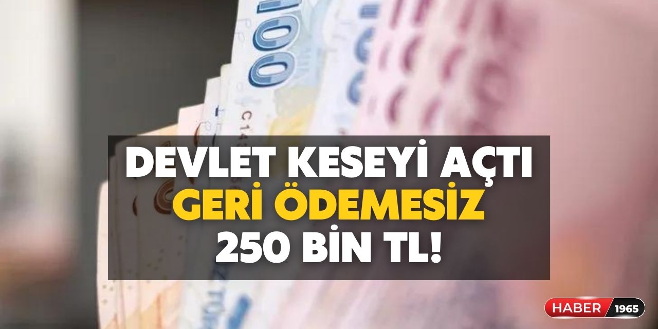 Devlet kesenin ağzını açtı! 250 bin TL geri ödemesiz, karşılıksız hibe verilecek