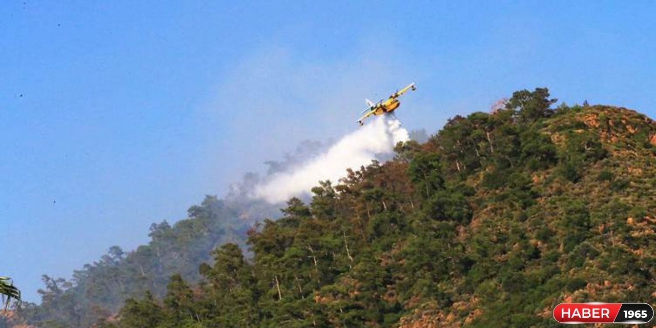 Marmaris'te çıkan orman yangının sebebi belli oldu! Arazide ceset yakılmış