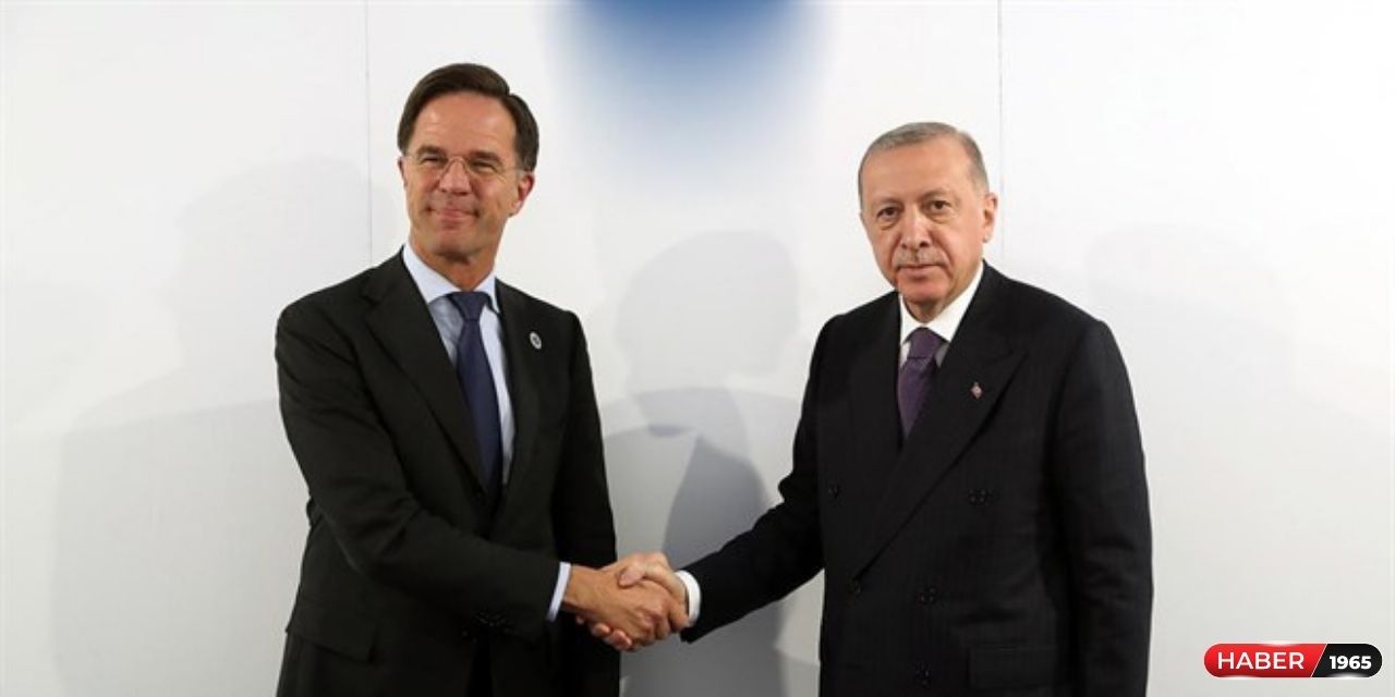 Cumhurbaşkanı Erdoğan, Hollanda Başbakanı Mark Rutte ile görüşme sağladı