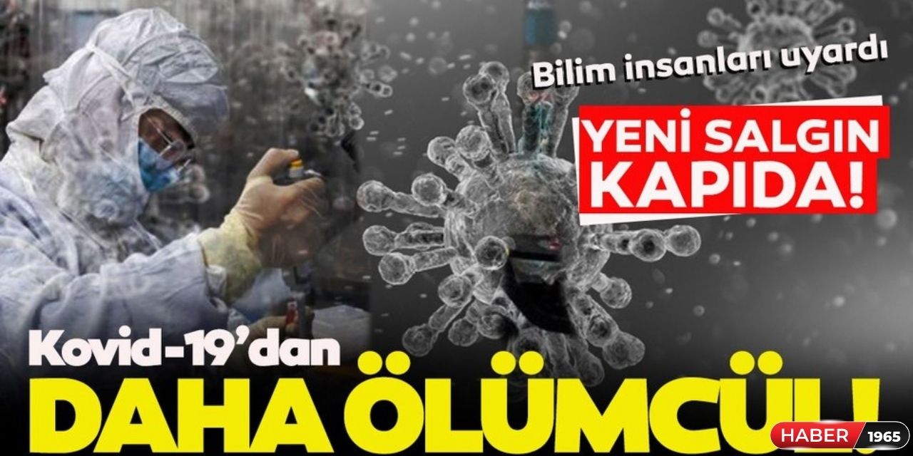 Dün gece sularında Sağlık Bakanı açıkladı! Türkiye'de yeni salgın boy gösterdi işte o hastalık