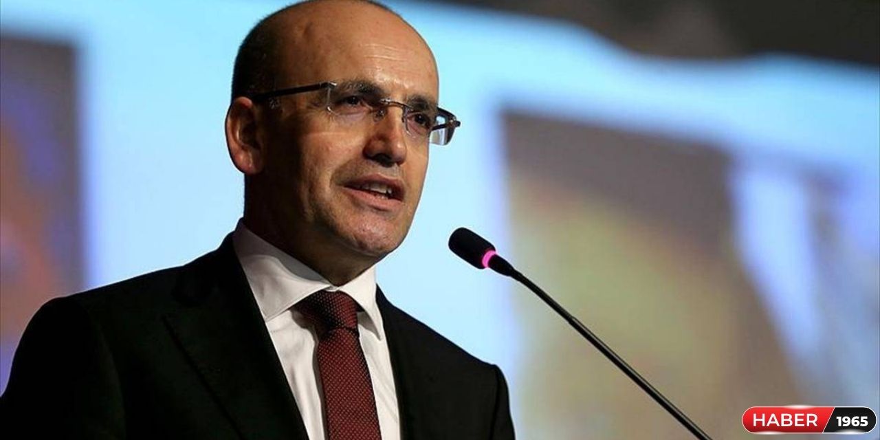 Bakan Mehmet Şimşek'in ekonomi programına dair açıklaması