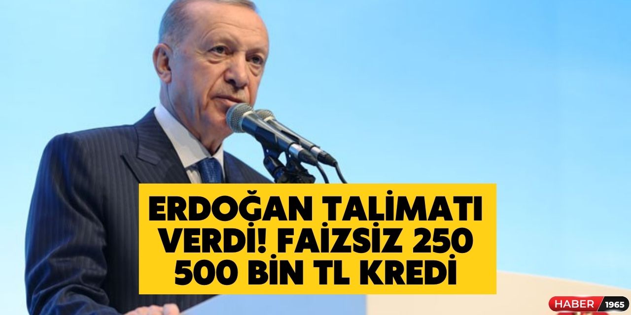 Bakan son dakika açıkladı! O kişilere 500 bin TL ve 250 bin TL faizsiz kredi hibe verilecek