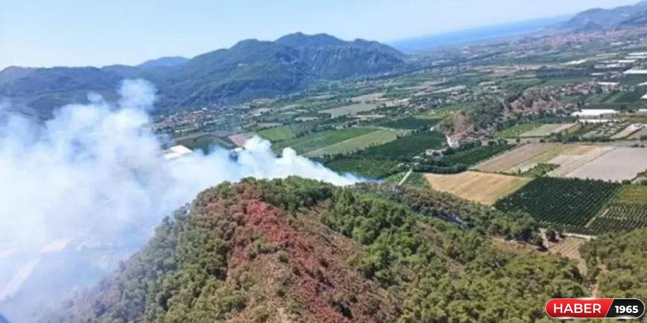 Muğla'da orman yangını meydana geldi! Alevlere müdahale edildi