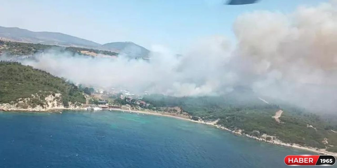 İzmir'de aynı anda 2 farklı ilçede orman yangını çıktı