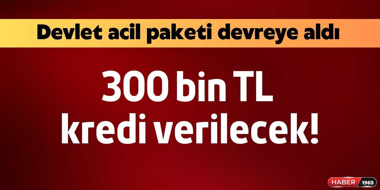 Devletten destek açıklaması geldi! 300 bin TL acil destek kredisi verilecek