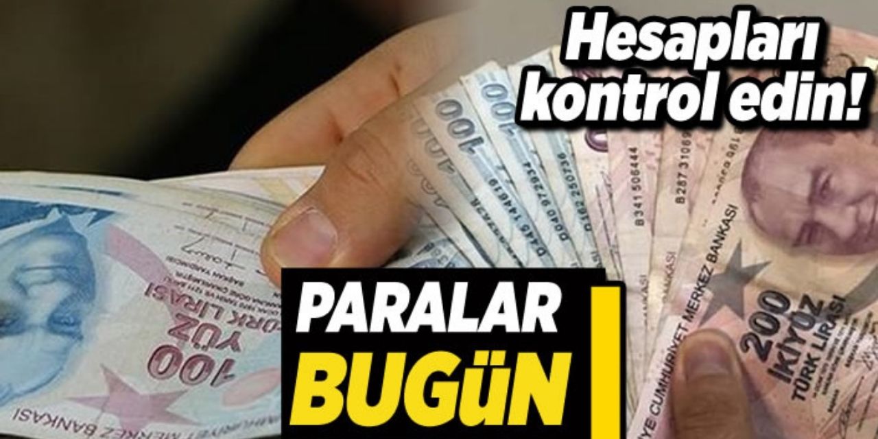 2121 TL ödemeler az önce hesaplara yattı hemen kontrol edin